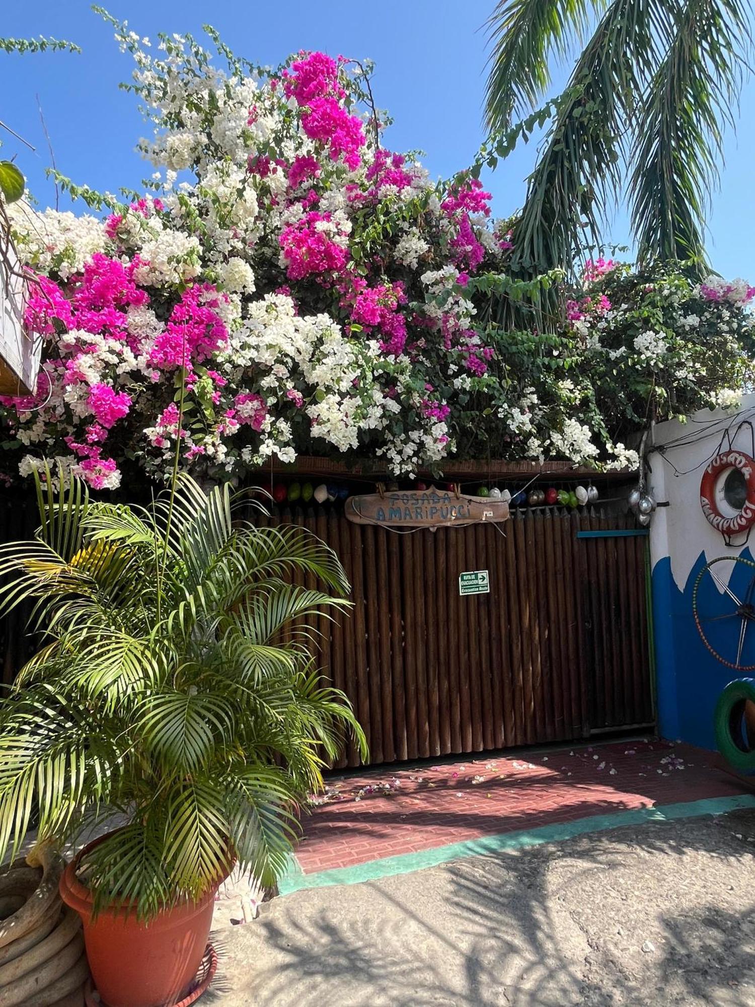 Posada Amaripucci San Andrés Exterior foto